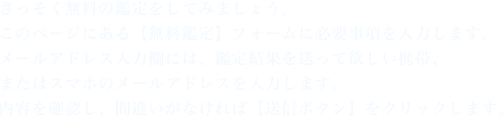 さっそく無料の鑑定をしてみましょう。このページにある【無料鑑定】フォームに必要事項を入力します。メールアドレス入力欄には、鑑定結果を送って欲しい携帯、またはスマホのメールアドレスを入力します。内容を確認し、間違いがなければ【送信ボタン】をクリックします。