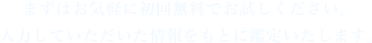 まずはお気軽に初回無料でお試しください。入力していただいた情報をもとに鑑定いたします。